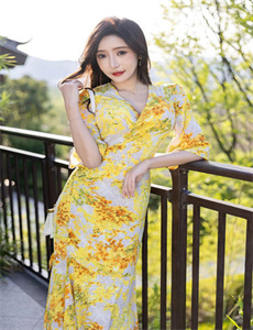 梦回大清电视剧